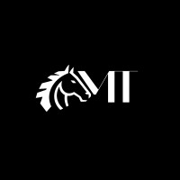 MT Financial Consulting Sagl Logo